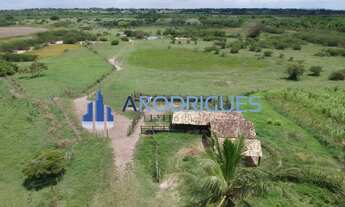 Imagem 7: Fazenda à Venda em Feira de Santana-BA, Bairro Humildes: 2 quartos, 2 salas, 3 banheiros