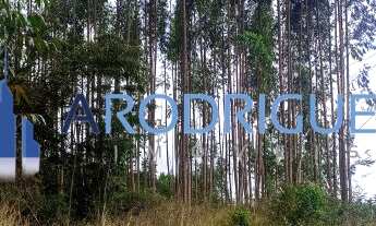 Imagem 6: Fazenda à Venda Na Região de Capelinha em Minas Gerais - Oportunidade Imperdível!