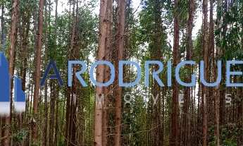 Imagem 7: Fazenda à Venda Na Região de Capelinha em Minas Gerais - Oportunidade Imperdível!