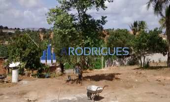 Imagem 5: Terreno com 4.300m² situado à rua Joaquim Ferreira, principal via do bairro Jardim das Mar