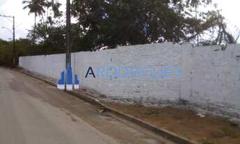 Imagem 2: Terreno plano à veda (37.343m2) , muro frontal de 85m de extensão, escritura, AOP, ITR, do