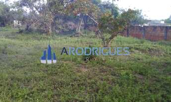 Imagem 5: Terreno plano à veda (37.343m2) , muro frontal de 85m de extensão, escritura, AOP, ITR, do