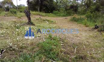 Imagem 4: Terreno plano à veda (37.343m2) , muro frontal de 85m de extensão, escritura, AOP, ITR, do