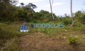 Imagem 3: Terreno plano à veda (37.343m2) , muro frontal de 85m de extensão, escritura, AOP, ITR, do