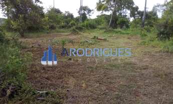 Imagem 6: Terreno plano à veda (37.343m2) , muro frontal de 85m de extensão, escritura, AOP, ITR, do