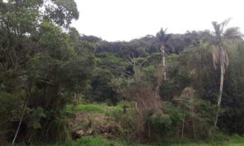 Imagem 3: 3 Terrenos Praia do Mariscal à 250 metros do mar - 960 m2