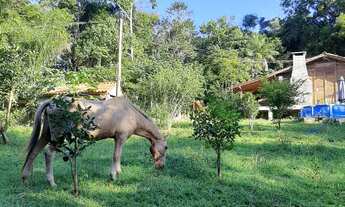 Imagem: Terreno 30 Hectares, em Bombas