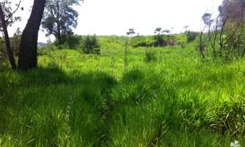 Imagem: 9935M² de Área Total na Rua José Bueno