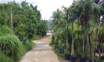 Imagem 7: ÁREA, MARGINAL ANHANGUERA SENTIDO SP