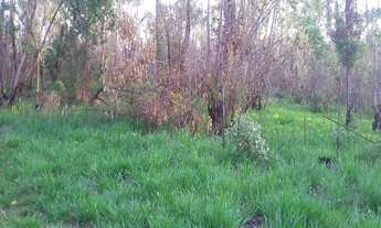 Imagem 2: TERRENO INDUSTRIAL, BAIRRO DOS IVOS, JARINU