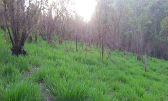 Imagem 3: TERRENO INDUSTRIAL, BAIRRO DOS IVOS, JARINU