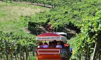 Imagem 3: TERRENO LOCALIZADO NO BAIRRO PARQUE DOS ESTADOS, NA CIDADE DE LOUVEIRA
