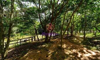 Imagem 3: TERRENO PARA VENDA, CONDOMÍNIO RESERVA DA MATA CURRUPIRA, BAIRRO JARDIM CELESTE, CIDADE DE