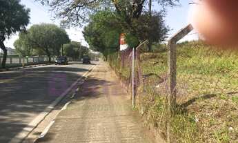 Imagem 4: ÁREA A VENDA, FRENTE RODOVIA ANHANGUERA, LOUVEIRA