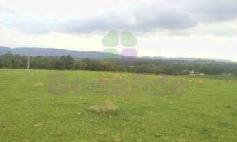 Imagem 4: FAZENDA MORRO ALTO, CIDADE DE ITUPEVA