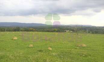 Imagem 6: FAZENDA MORRO ALTO, CIDADE DE ITUPEVA