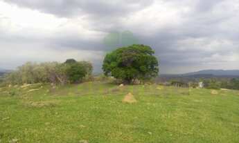 Imagem 7: FAZENDA MORRO ALTO, CIDADE DE ITUPEVA