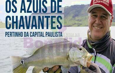 Imagem 7: CHÁCARA PARA VENDA, LOCALIZADA NA CIDADE DE ILHA VERDE ITARARÉ