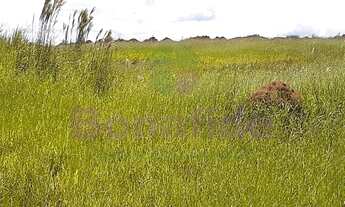 Imagem 4: ÁREA INDUSTRIAL, BRASILIANS BUSSINES PARK, JARINU