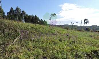 Imagem 6: ÁREA RURAL PARA VENDA, PITANGAL, JARINU