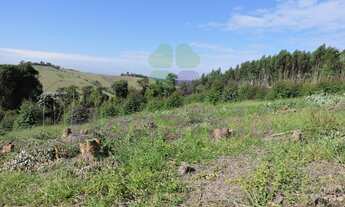 Imagem 7: ÁREA RURAL PARA VENDA, PITANGAL, JARINU