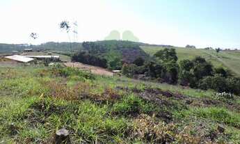 Imagem 5: ÁREA RURAL PARA VENDA, PITANGAL, JARINU