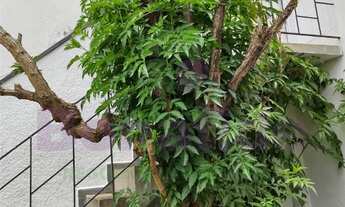 Imagem 3: CASA COMERCIAL E RESIDENCIAL PARA LOCAÇÃO, VILA ARENS, JUNDIAÍ