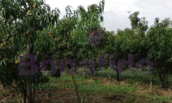 Imagem 2: SÍTIO PARA VENDA LOCALIZADO, BOM JARDIM, JUNDIAÍ
