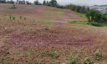 Imagem 5: SÍTIO PARA VENDA LOCALIZADO, BOM JARDIM, JUNDIAÍ