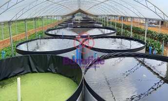 Imagem 5: SÍTIO A VENDA, LOCALIZADO NO BAIRRO ÁREA RURAL DE TATUÍ, NA CIDADE DE TATUÍ