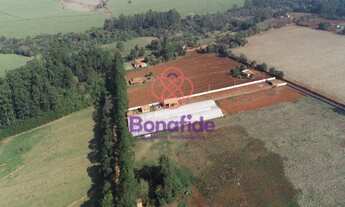 Imagem 2: SÍTIO A VENDA, LOCALIZADO NO BAIRRO ÁREA RURAL DE TATUÍ, NA CIDADE DE TATUÍ