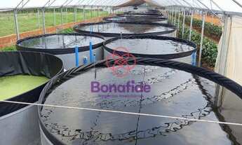 Imagem 6: SÍTIO A VENDA, LOCALIZADO NO BAIRRO ÁREA RURAL DE TATUÍ, NA CIDADE DE TATUÍ