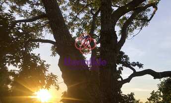 Imagem 4: TERRENO RESIDENCIAL, PARQUE DOS CAFEZAIS 01, ITUPEVA