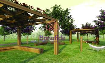 Imagem 7: CASA, PHYTUS, JACARÉ, CABREÚVA