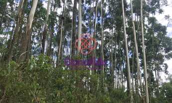 Imagem 3: EXCELENTE ÁREA PARA VENDA, TRANCREDO NEVES KM 52, NA CIDADE DE JUNDIAÍ