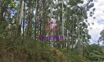 Imagem: EXCELENTE ÁREA PARA VENDA, TRANCREDO NEVES