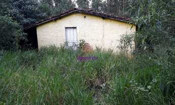 Imagem: SÍTIO PARA VENDA LOCALIZADO NO BAIRRO RIO