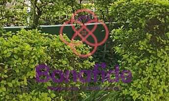 Imagem 4: CASA TÉRREA, PARA VENDA, LOCALIZADA NO BAIRRO JARDIM ESTÁDIO, NA CIDADE DE JUNDIAÍ