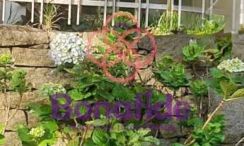 Imagem 2: CASA RESIDENCIAL E COMERCIAL, PARA LOCAÇÃO, LOCALIZADO NO BAIRRO CHÁCARA URBANA, NA CIDADE