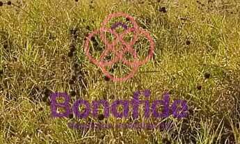 Imagem 5: ÁREA PARA LOCAÇÃO LOCALIZADA NO BAIRRO DO MEDEIROS NA CIDADE DE JUNDIAÍ