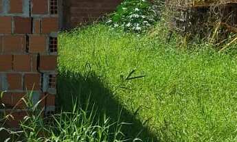 Imagem: TERRENO RESIDENCIAL em ITAJAÍ - SC, SÃO