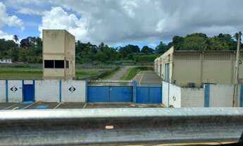 Imagem 2: Na Rua Romã Do Cia