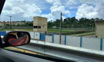 Imagem 3: Na Rua Romã Do Cia