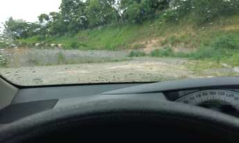 Imagem 4: Na Rua Romã Do Cia