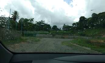 Imagem 5: Na Rua Romã Do Cia