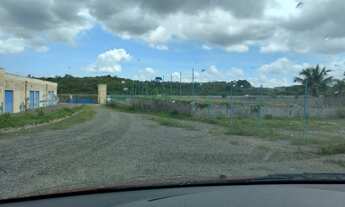 Imagem 7: Na Rua Romã Do Cia