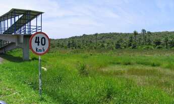 Imagem: 8000M² de Área Construída na Avenida