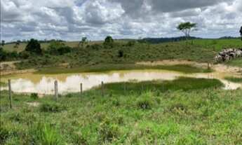 Imagem: 4 dormitórios na Avenida Osvaldo Ribeiro