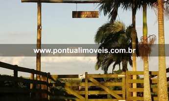 Imagem: Sítio a venda 4,5 Hectares Garça SP