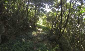 Imagem 6: TERRENO RESIDENCIAL À VENDA, PRAIA DA SOLIDÃO, FLORIANÓPOLIS